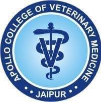 Apollo College